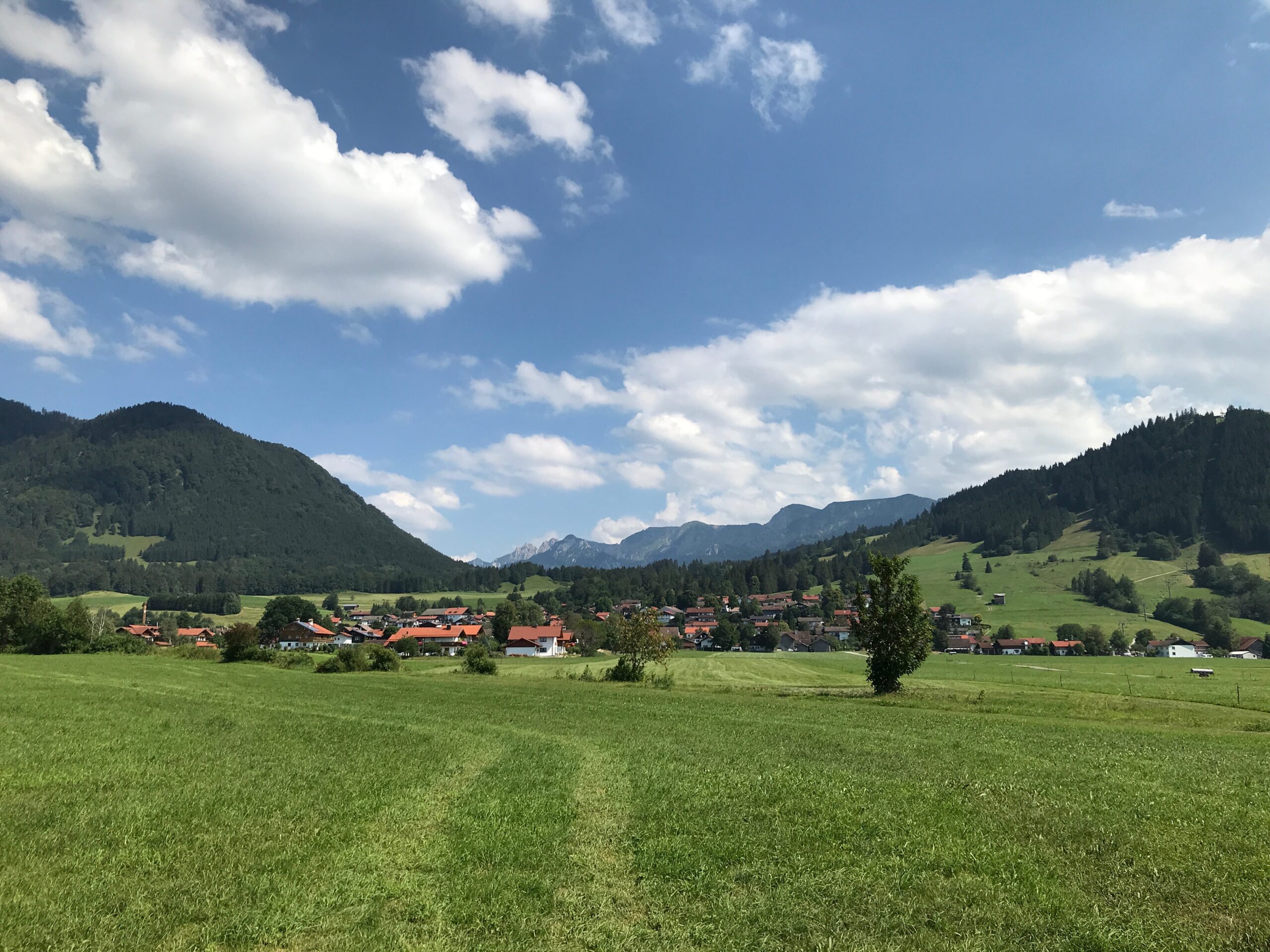 IMG_0300