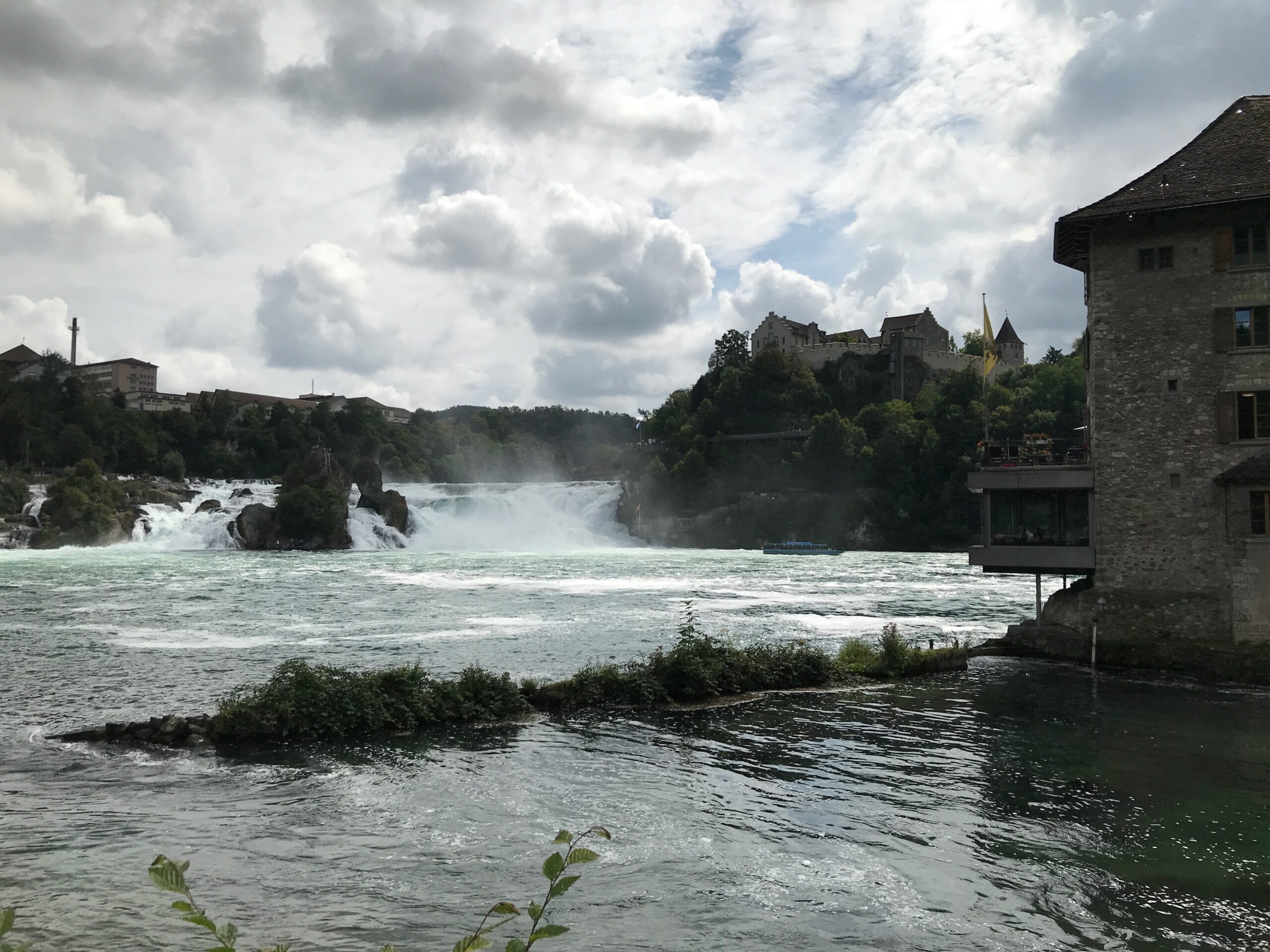 IMG_0352