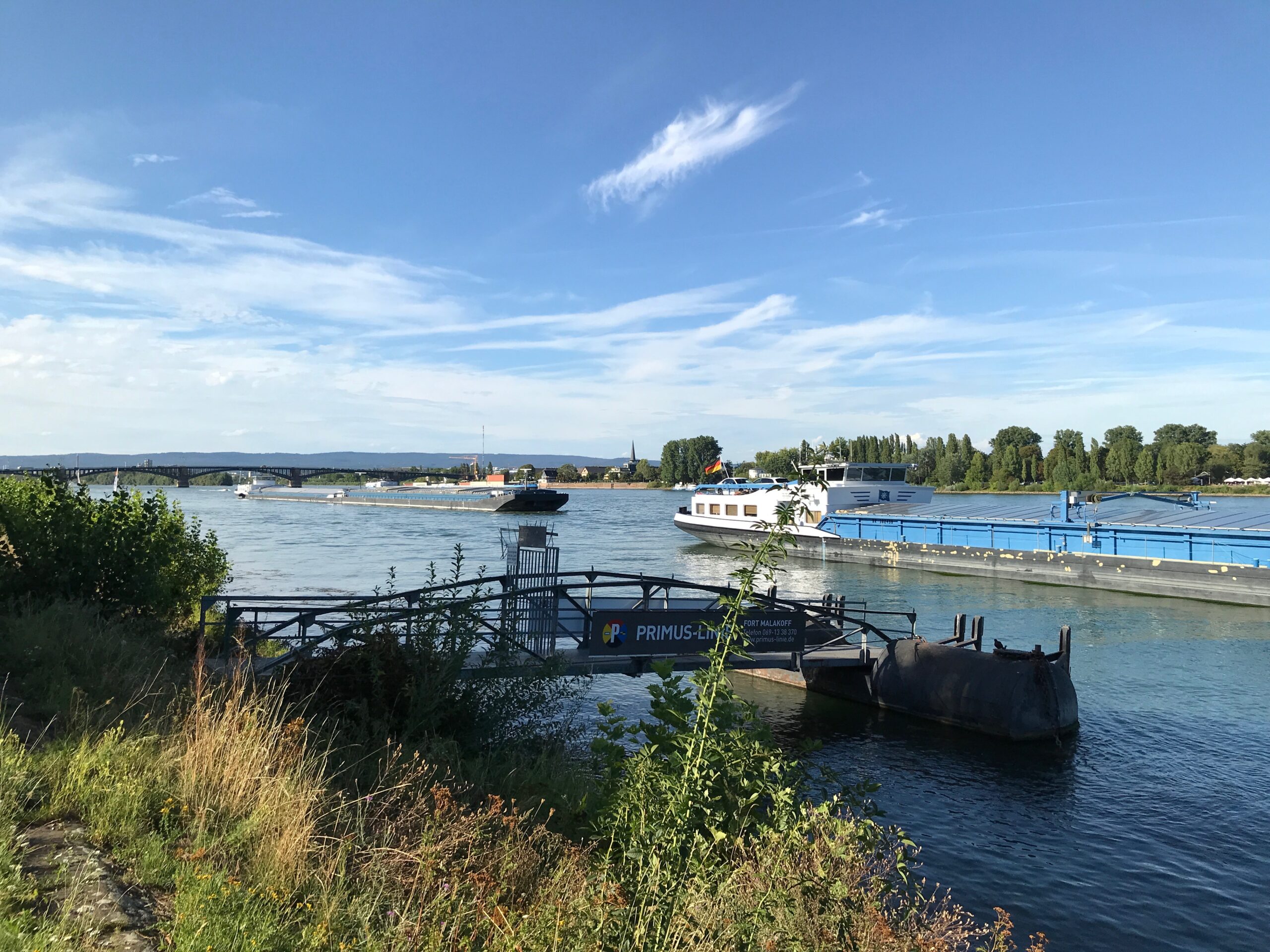 IMG_0443
