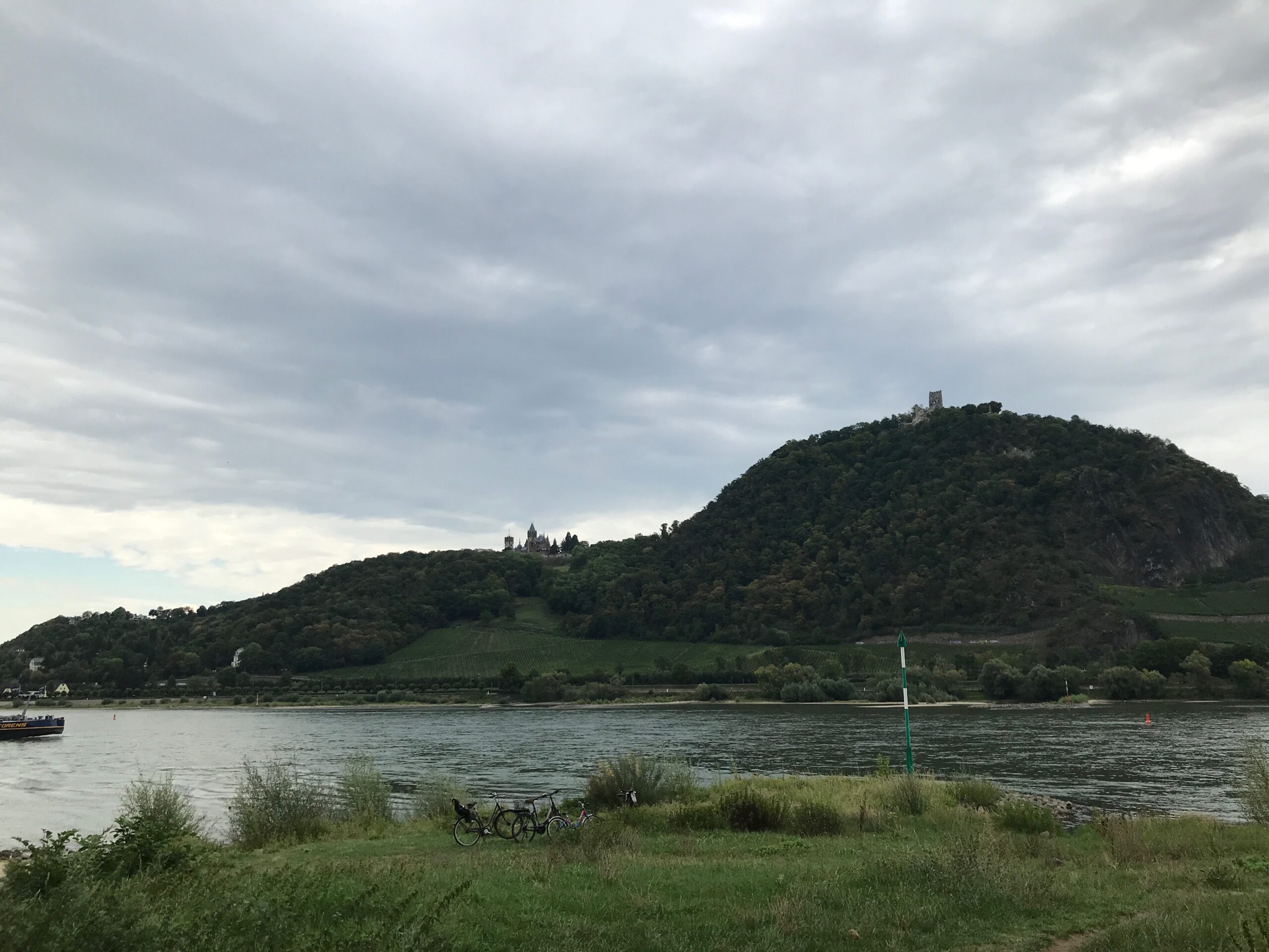 IMG_0469