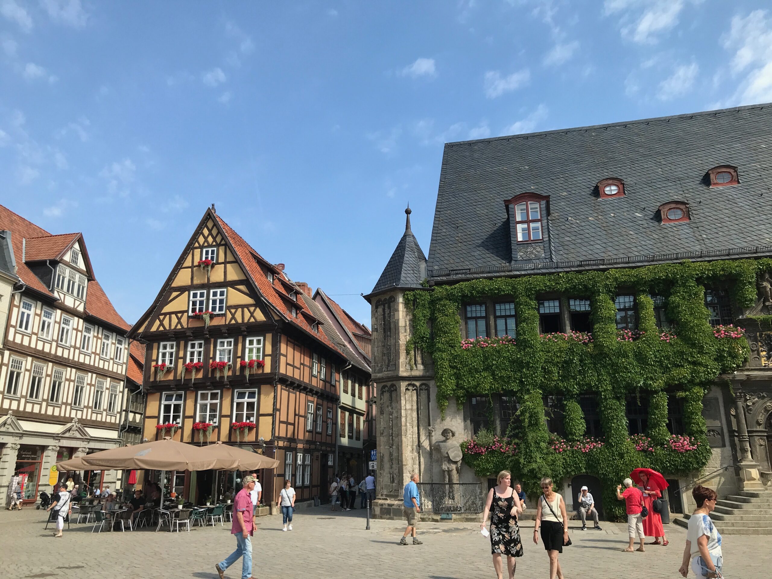IMG_0771