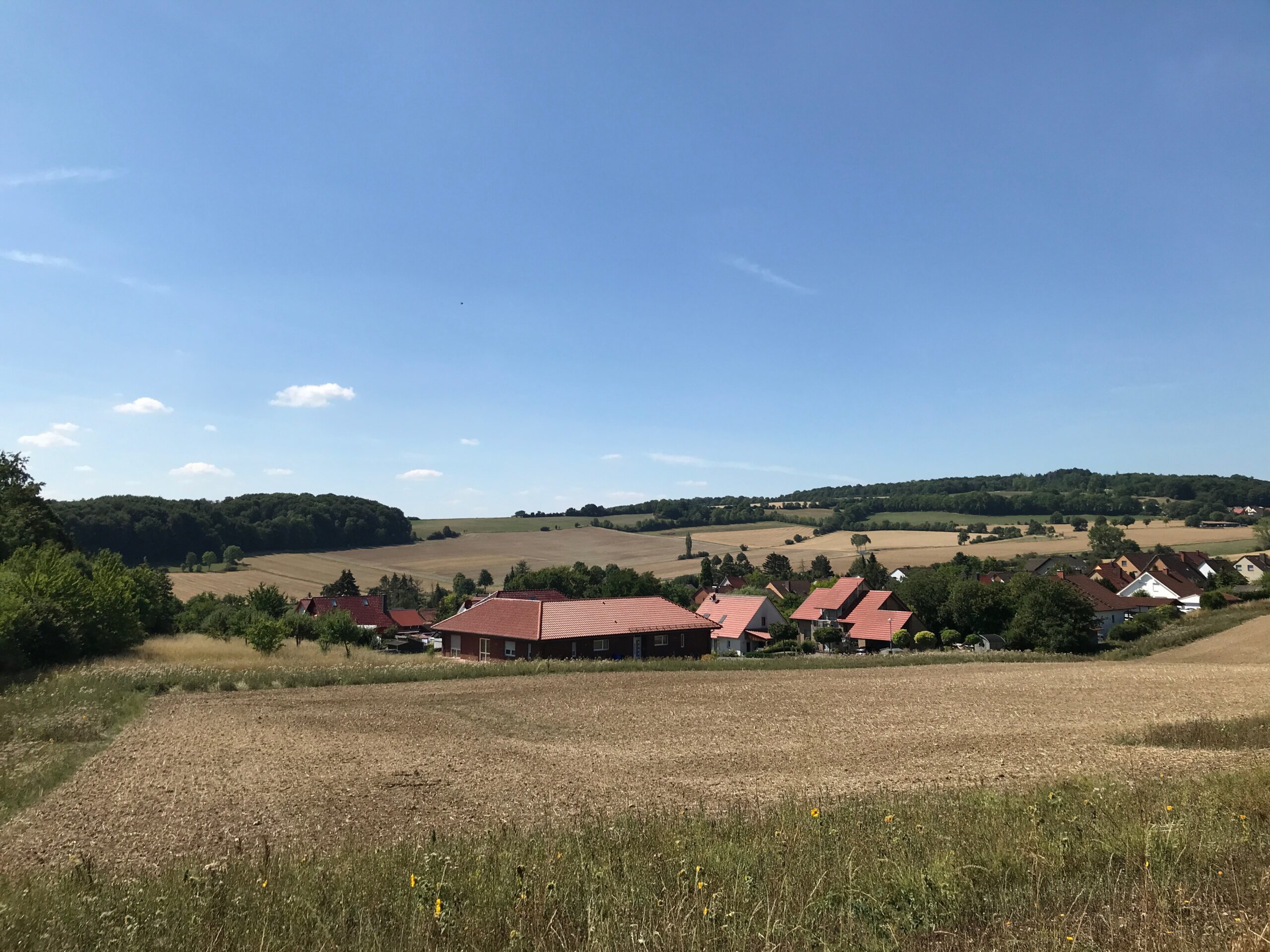 IMG_0790